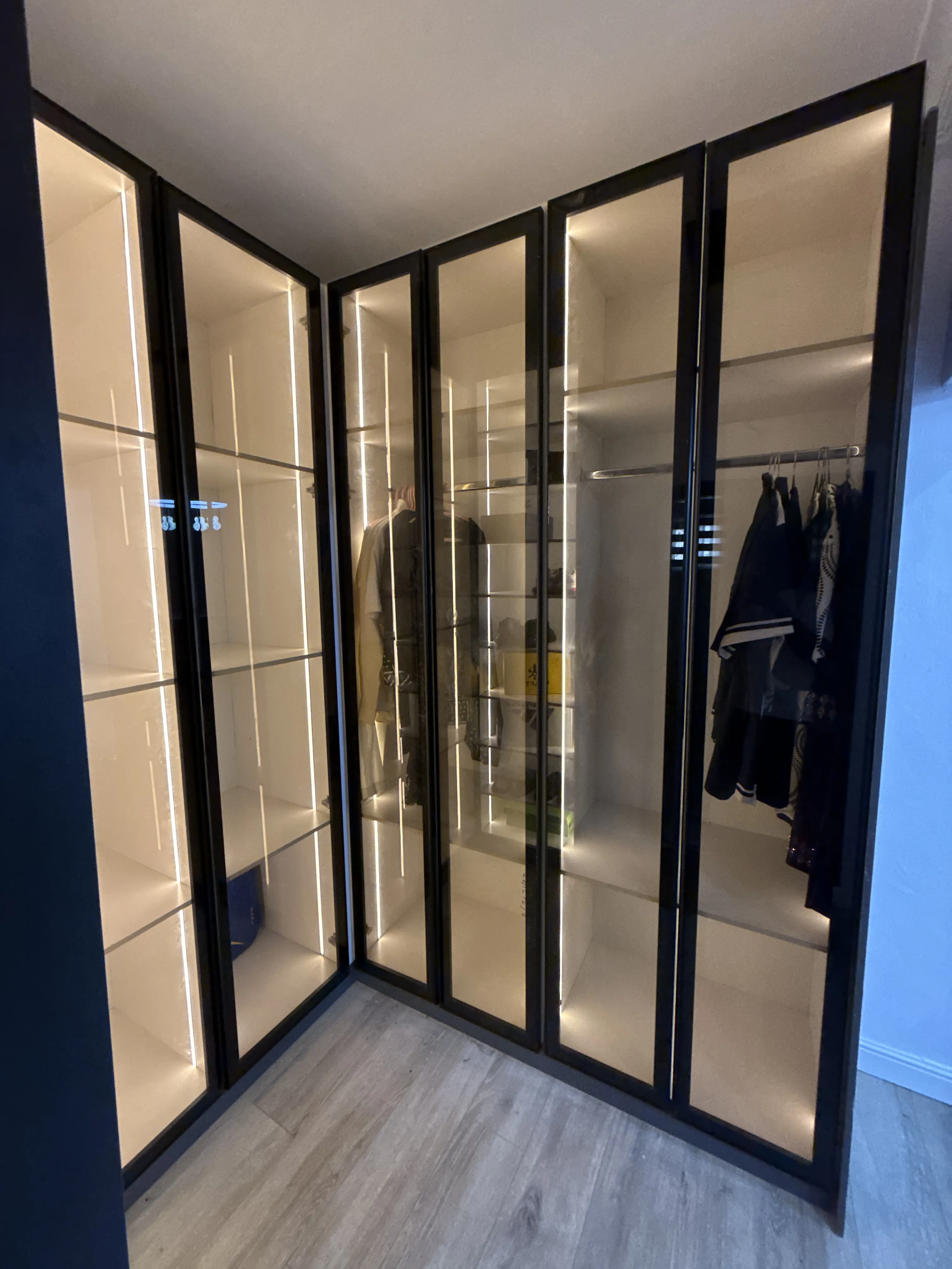 Premium Glass Wardrobe